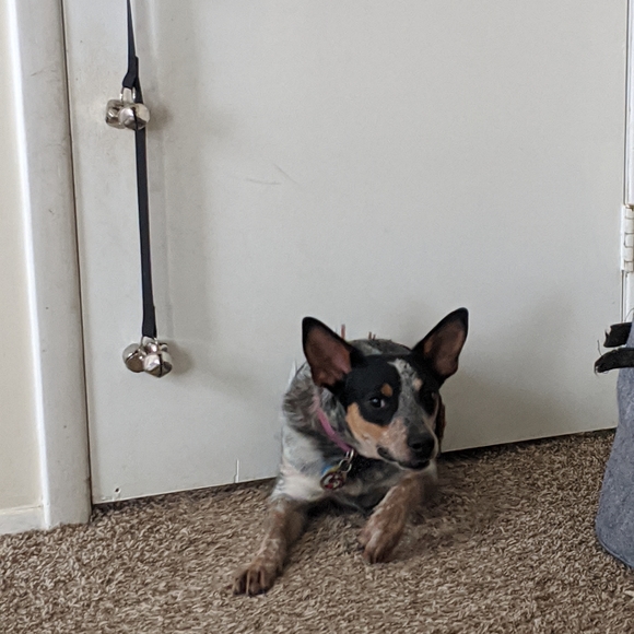 Other - Reasonable offers always welcome 😄